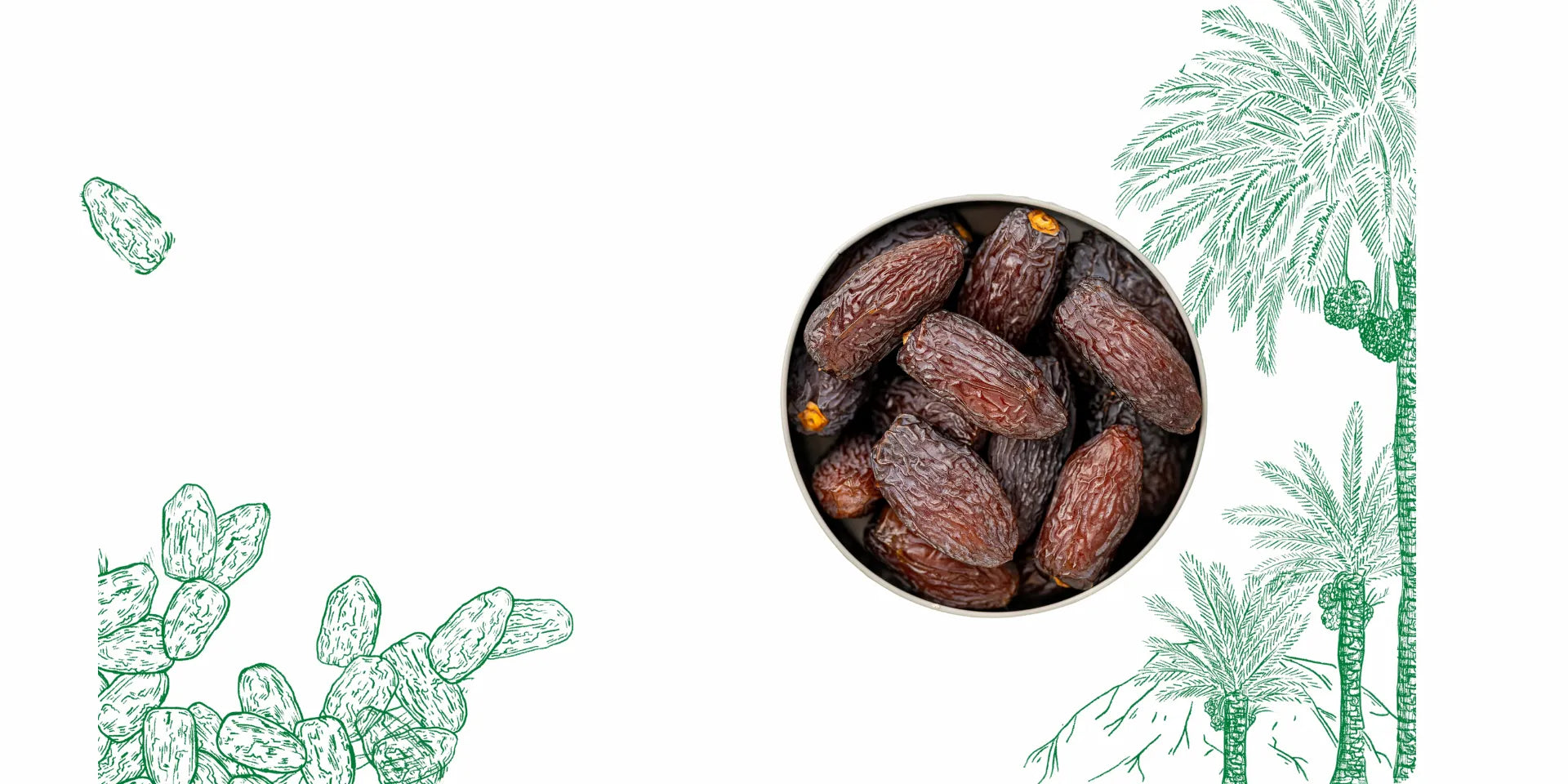 A bowl of plump, caramel-like Medjool dates from Linah Farms with decorative sketches of palm trees and medjool dates in the background