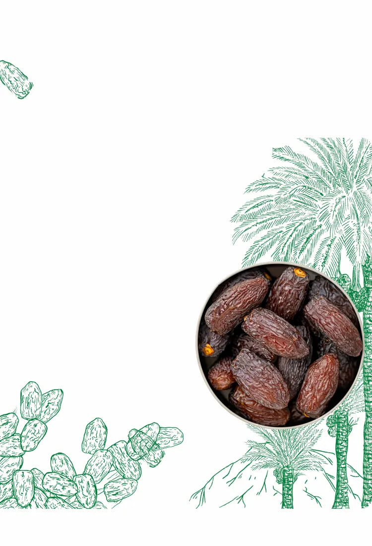 A bowl of Medjool Dates with a decorative background featuring artistic sketches of palm trees and Medjool dates.