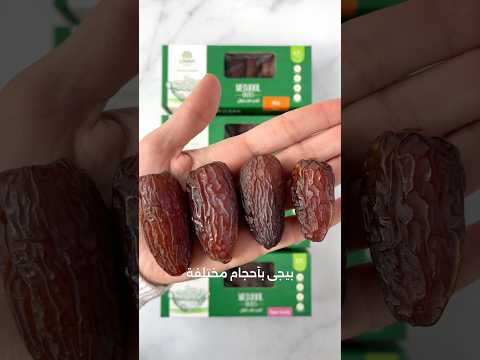 Jumbo Medjools